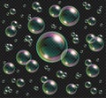 Realistic soap bubbles with rainbow reflection isolated on transparent background. Royalty Free Stock Photo