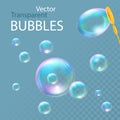 Realistic soap bubbles. Vector illustration