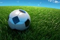 Realistic soccer ball on green grass field 3D style concept Royalty Free Stock Photo