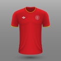 Realistic soccer shirt ,China home jersey template for football kit