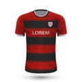 Realistic soccer shirt Pohang Steelers