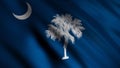 Realistic South Carolina USA flag waving in the wind, seamless loop. Animation. Colorful blue flag with a half moon and