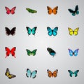 Realistic Spicebush, Archippus, Azure Peacock And Other Vector Elements. Set Of Moth Realistic Symbols Also Includes Red