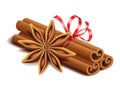 Realistic spices, cinnamon sticks and anise star isolated