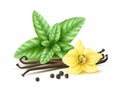 Realistic spices simple composition. Vanilla flower and pods, fresh green leaves, basil or mint, black peppercorns