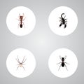 Realistic Spider, Poisonous, Emmet And Other Vector Elements. Set Of Insect Realistic Symbols Also Includes Ant, Spider
