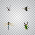 Realistic Spinner, Insect, Midge And Other Vector Elements. Set Of Bug Realistic Symbols Also Includes Midge, Beetle