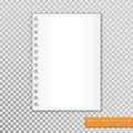 Realistic spiral notepad blank on transparent background. Vector Royalty Free Stock Photo