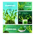 Realistic Spirulina Banners Collection