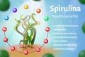 Realistic Spirulina Seaweed Banner Health Benefict