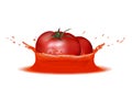 Realistic splash of juice with tomatoes. Vector icon. Template for your design