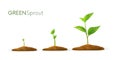 Realistic sprouts 3D.Phases plant growing.Evolution concept. Seeds sprout in ground. Sprout, plant, tree growing