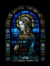 Realistic Stained Glass Window with the image of a woman, dark blue tones