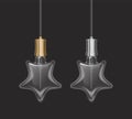 Realistic Star shaped bulb in retro style, lamp looks good on dark or light substrate, Vector EPS 10 format