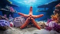 Realistic Starfish With Corals Underwater - High Resolution Lifelike Wimmelbilder