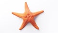 Realistic Starfish - Symbol of Marine Life on White Background - Generative AI