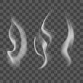 Realistic Steam or Smoke Texture Set. Vector