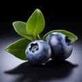 Realistic Still Life: Blueberries With Leaves In Dramatic Lighting