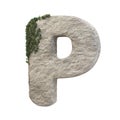 Realistic stone letters with ivy, isolated on a white background