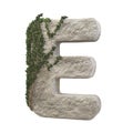 Realistic stone letters with ivy, isolated on a white background