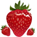 Realistic Strawberry