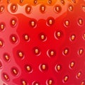 Realistic strawberry background. Texture. Vector Royalty Free Stock Photo