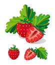 Realistic strawberry. Vector Illustration