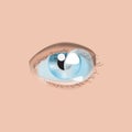 Realistic style vector illustration with eye and contact lens Royalty Free Stock Photo