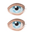Realistic style vector illustration with 2 eyes on white background
