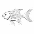 Realistic Yet Stylized Line Drawing Of A Shiny Fish