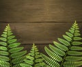 Realistic summer background with green fern leafs on wooden texture. Outdoor camping adventure. Design template. Royalty Free Stock Photo