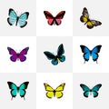 Realistic Summer Insect, Common Blue, Demophoon And Other Vector Elements. Set Of Beauty Realistic Symbols Also Includes