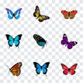 Realistic Summer Insect, Papilio Ulysses, Bluewing And Other Vector Elements. Set Of Beauty Realistic Symbols Also