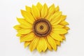 Realistic sunflower flower embroidery isolated on white background