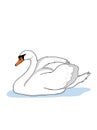 Realistic swan illustration drawing illustration drawing drawing coloring drawing illustration