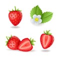 Realistic sweet strawberry set with leaves and flowers, fresh red berries, isolated on white background vector Royalty Free Stock Photo