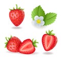 Realistic sweet strawberry set with leaves and flowers, fresh red berries, isolated on white background vector Royalty Free Stock Photo