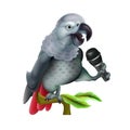 Realistic talking parrot with microphone. Original symbol for karaoke bar