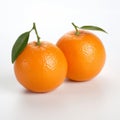 Realistic Tangerines On White Background