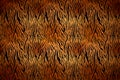 Realistic tiger skin texture with black stripes, wide detailed background Royalty Free Stock Photo