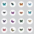 Realistic Tiger Swallowtail, Summer Insect, Azure Peacock And Other Vector Elements. Set Of Moth Realistic Symbols Also