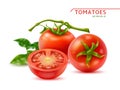 Realistic tomatoes in simple composition. Whole red vegetables and half in section, green twigs and leaves, fresh