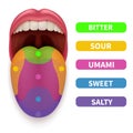 Realistic tongue with basic taste areas. Tasting map in human mouth vector illustration Royalty Free Stock Photo