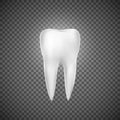 Realistic tooth illustration. Dental care and tooth restoration. Medicine icon. Vector illustration on ransparent background