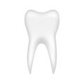 Realistic tooth isolated on a white background. Vector.