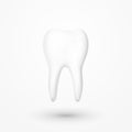 Realistic tooth on a white background .