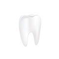 Realistic tooth on white background