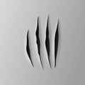 Realistic torn grey paper, four claws scratches with jagged edges in sheet, vector illustration.