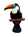 Realistic toucan icon isolated on white background