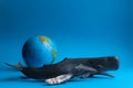 Realistic toy humpback whale and sperm whale with a model of the earth on a blue background Royalty Free Stock Photo